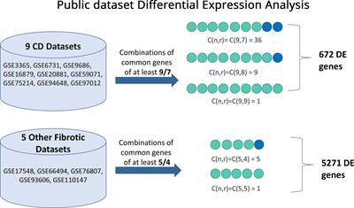 Co-expression of fibrotic genes in inflammatory bowel disease; A localized event?